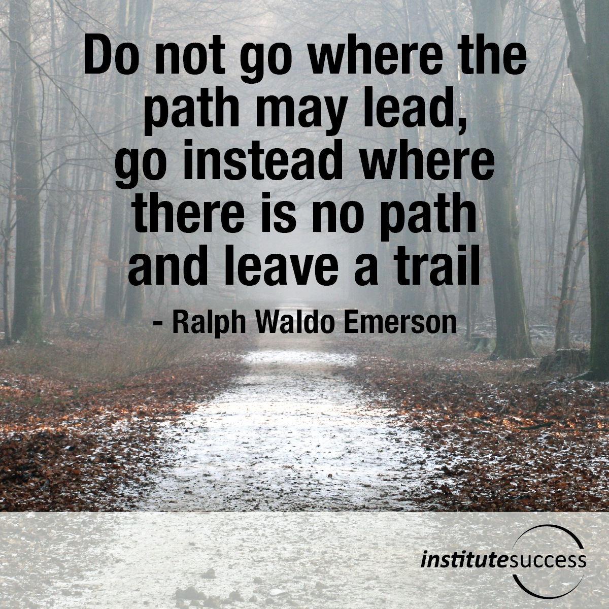 Do Not Go Where The Path May Lead Go Instead Where There Is No Path