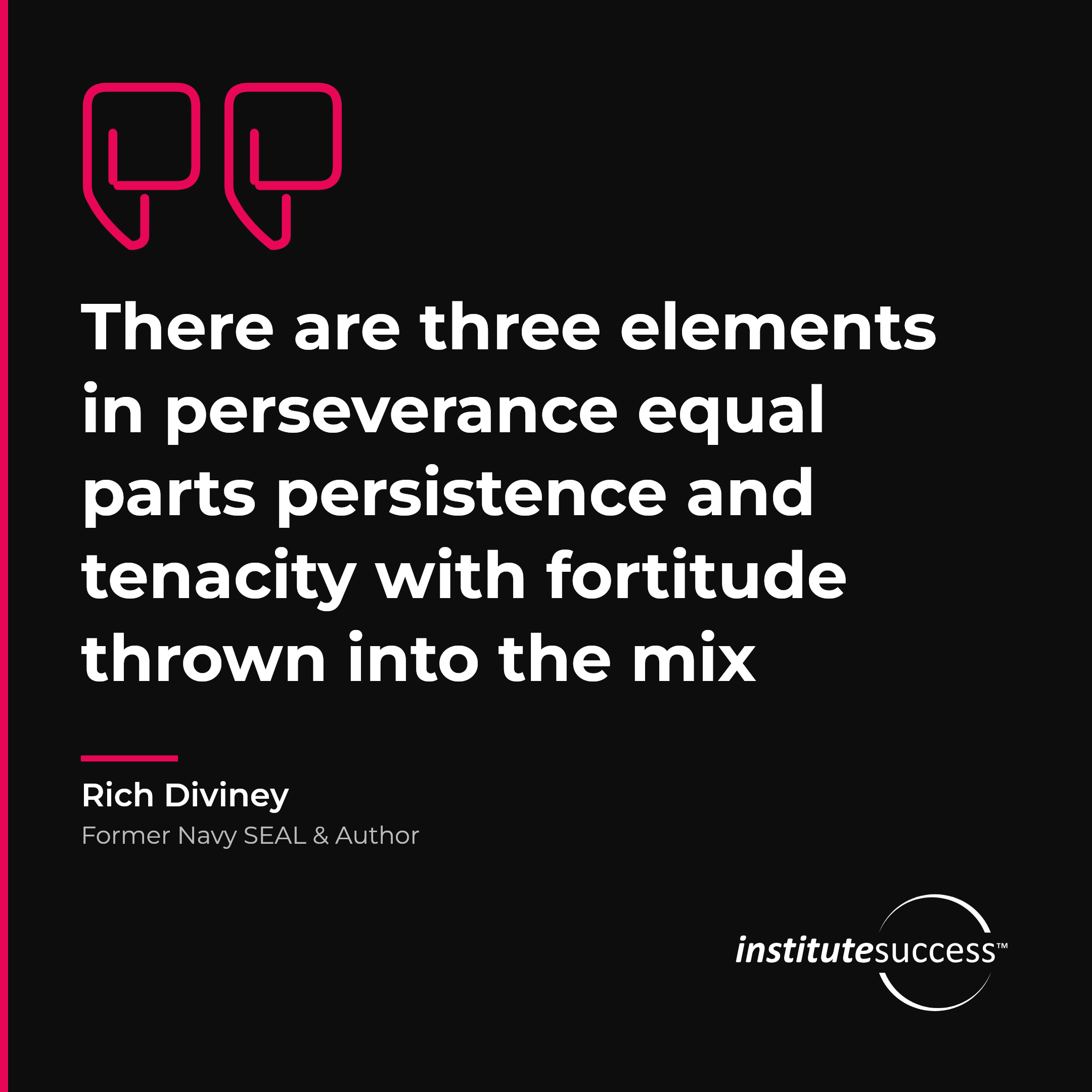 "There are three elements in perseverance equal parts persistence and tenacity with fortitude thrown into the mix" — Rich Diviney, Persistence leadership quote