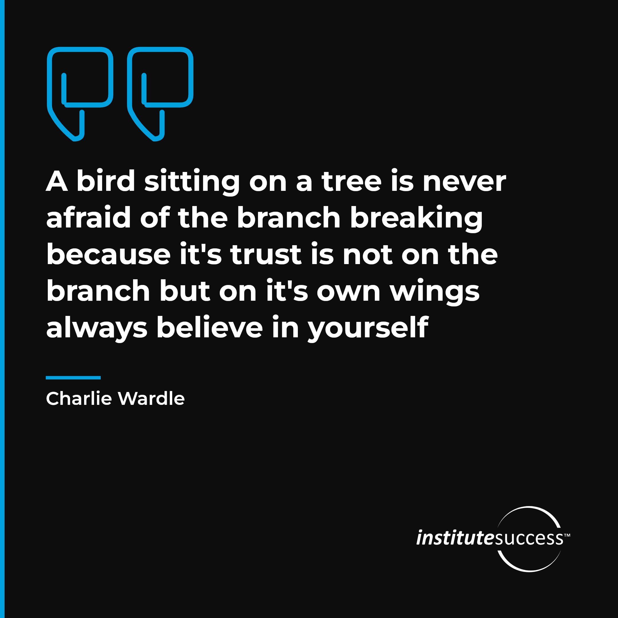 "A bird sitting on a tree is never afraid of the branch breaking because it's trust is not on the branch but on it's own wings always believe in yourself" — Charlie Wardle, Understanding Attitude leadership quote