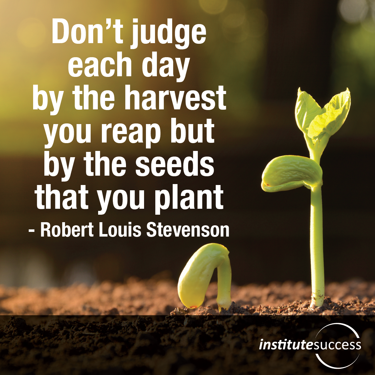 Dont day. Don't judge each Day by the Harvest you Reap but by the Seeds. Don’t judge each Day by the Harvest you Reap but rather buy the Seeds you Plant.